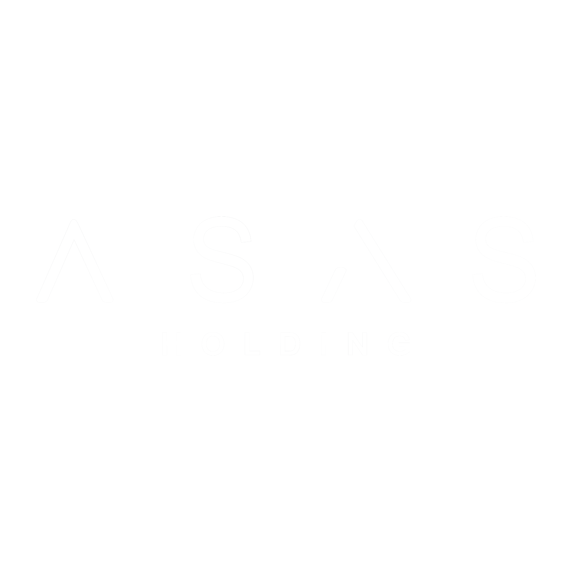 Asas Holding